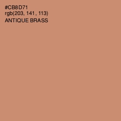 #CB8D71 - Antique Brass Color Image